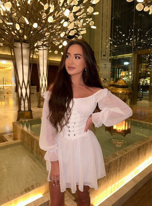 Sophisticated Corset Dress